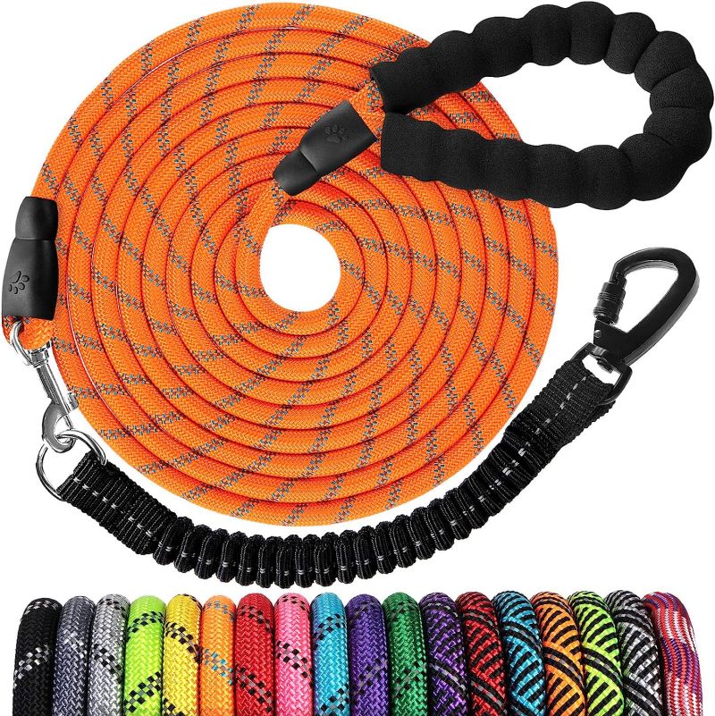 Pet leash