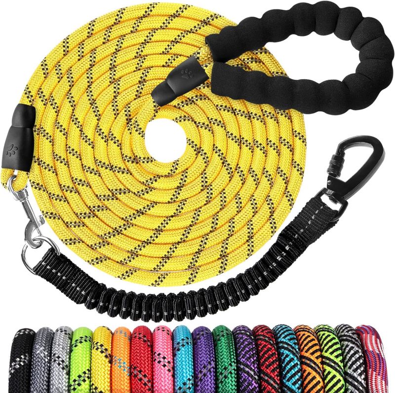 Pet leash