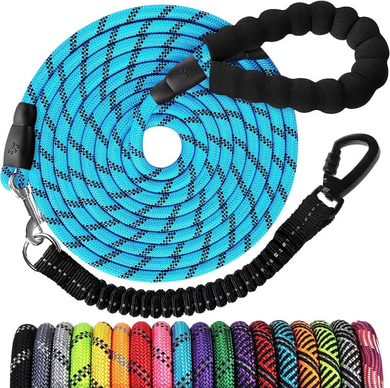 Pet leash