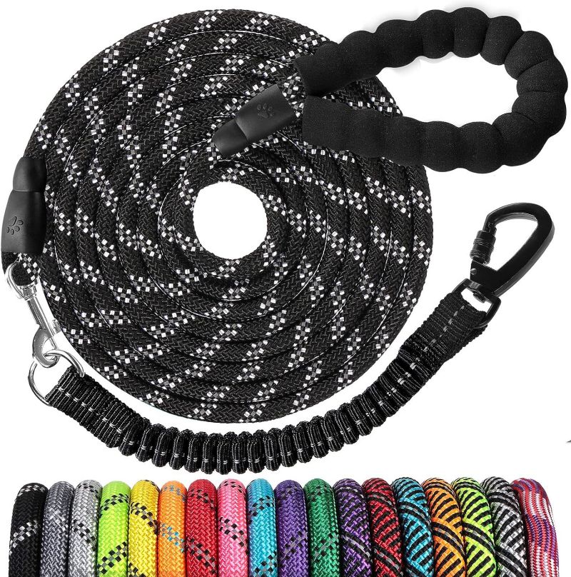 Pet leash