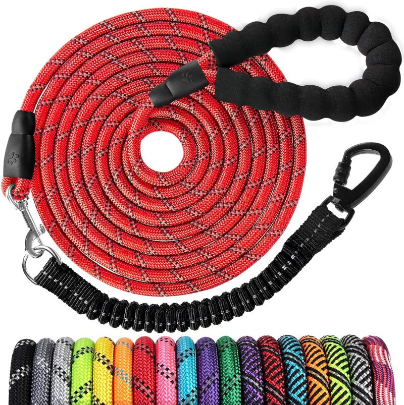 Pet leash